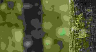 Yacht Trends 2026: Innovations, Racing Highlights & Guest Experiences